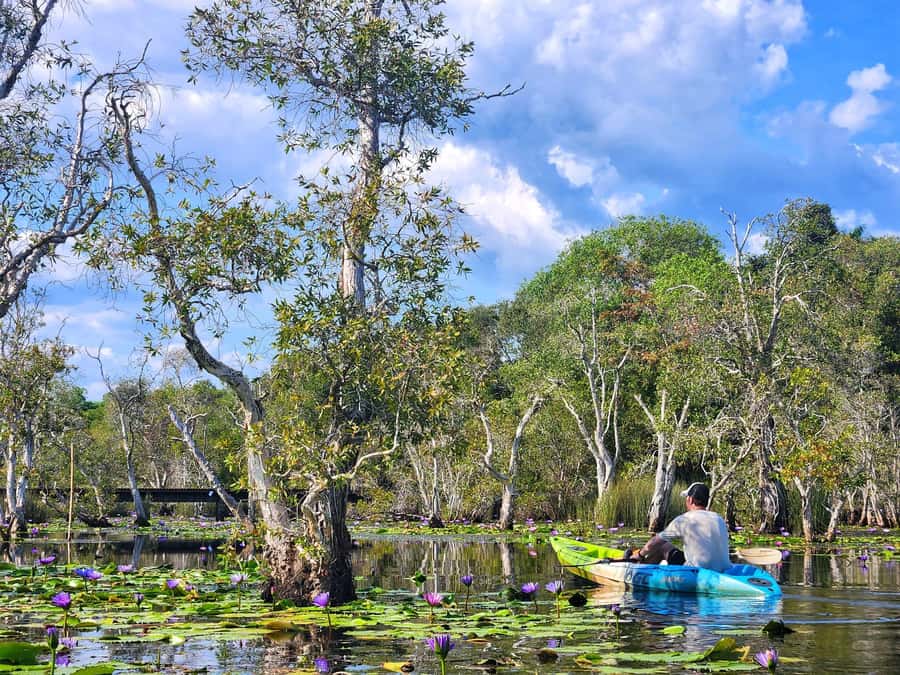 From Pattaya: Rayong Adventure Hike and Kayak Day Trip - Why this Rayong day trip works so well