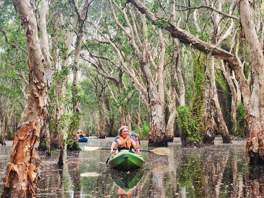 From Pattaya: Rayong Adventure Hike and Kayak Day Trip - Thung Prong Thong and Rayong’s mangroves