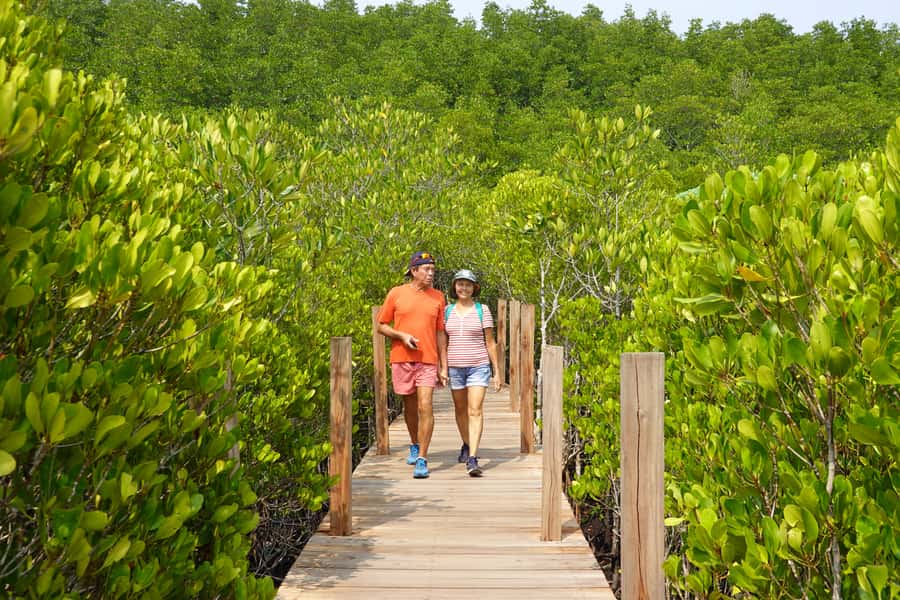 From Pattaya: Rayong Adventure Hike and Kayak Day Trip - Who should book this adventure?