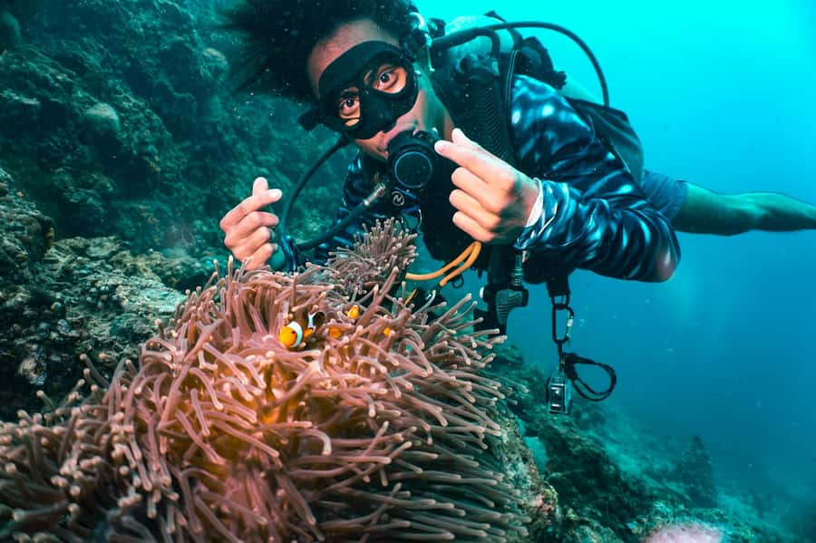 From Phi Phi: Beginner Scuba Diving Day Trip with 2 Dives - What the Phi Phi beginner scuba outing is really like