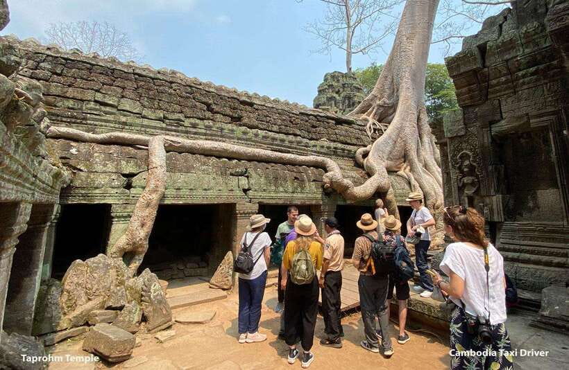 From Phnom Penh: Angkor Wat, Bayon, and Ta Prohm Day Trip - Ta Prohm, where the forest meets the stone