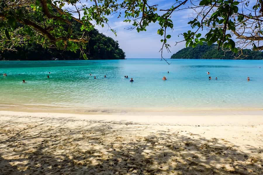 From Phuket/Khaolak: Surin Islands Snorkeling Day Trip - Key points to know before booking