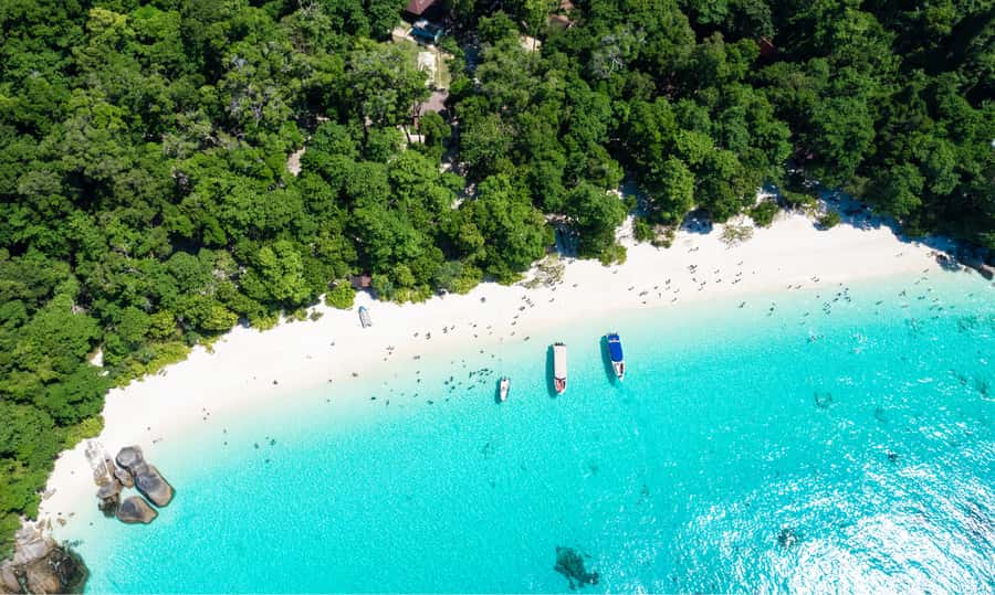 From Phuket or Khaolak : Similan Islands Day Trip - The guides and the human side of the day