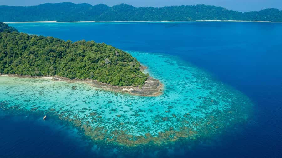 From Phuket or Khaolak: Surin Islands Day Trip - Mai Yai Gulf and Tao Gulf