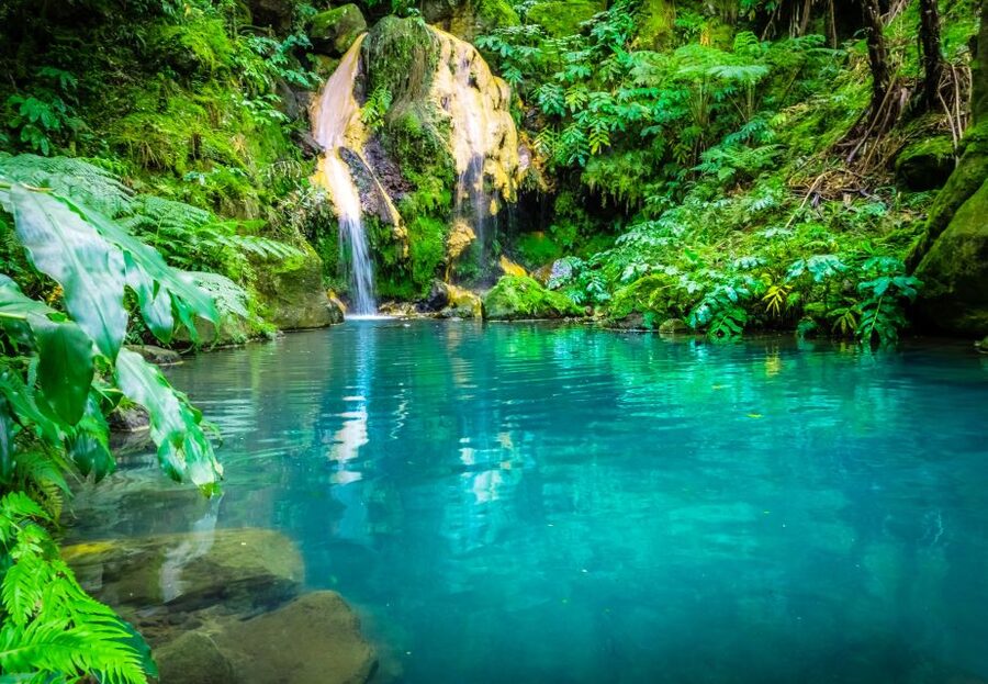 From Ponta Delgada: Lagoa do Fogo & Hot Springs Day Trip - Lunch in Ribeira Grande