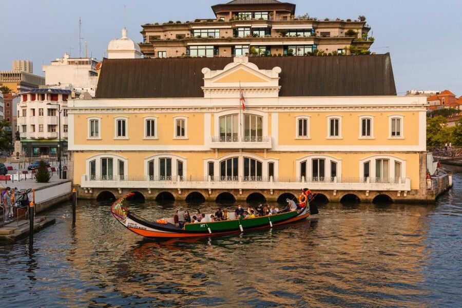 From Porto: Aveiro Private Guided Day Trip - Aveiro’s canals, bridges, and old center