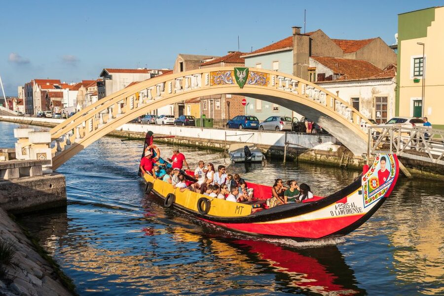 From Porto: Aveiro Private Guided Day Trip - Ovos moles, fish, and a memorable lunch