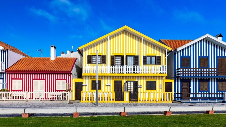From Porto: Aveiro Private Guided Day Trip - What the guide adds to the day