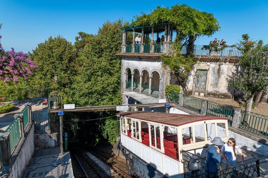From Porto: Braga and Guimarães Full-Day Trip - Guide quality and the small-group choice