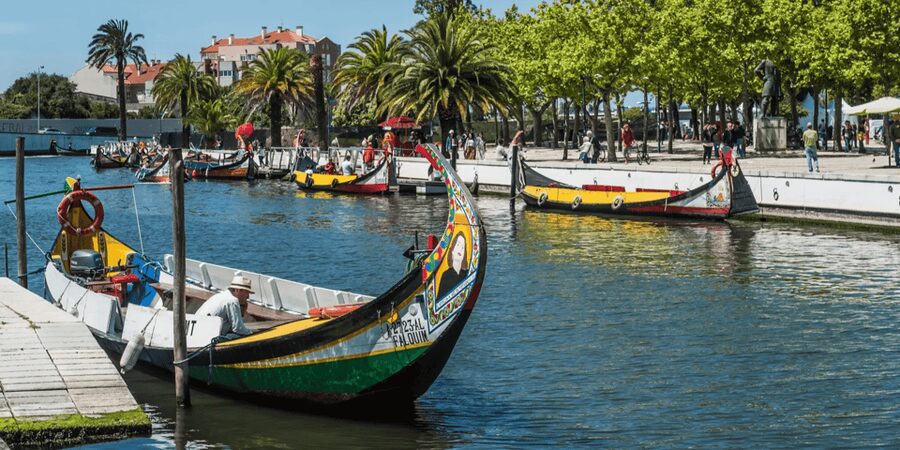 From Porto: Full-Day Trip to Coimbra & Aveiro with Boat Ride - Why this Porto day trip works