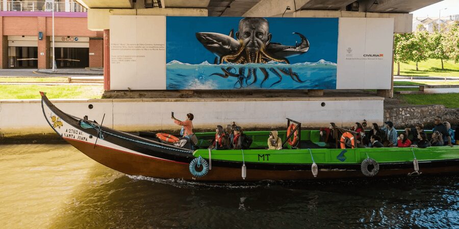 From Porto: Full-Day Trip to Coimbra & Aveiro with Boat Ride - Lunch in the Coimbra District