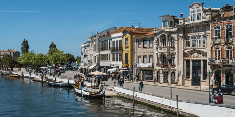 From Porto: Full-Day Trip to Coimbra & Aveiro with Boat Ride - A 50-minute Moliceiro cruise