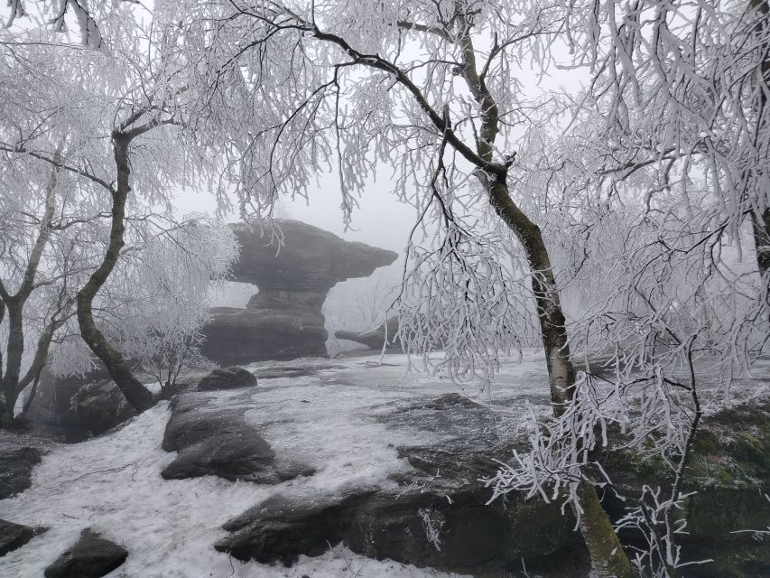 From Prague: Bohemian & Saxon Switzerland Iconic Day Trip - Winter, summer, and the question of fitness