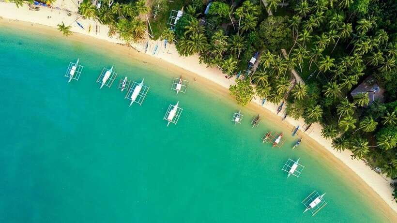 From Puerto Princesa: Port Barton & Island Hopping Day Trip - Turtle Spot and the limits of wildlife promises