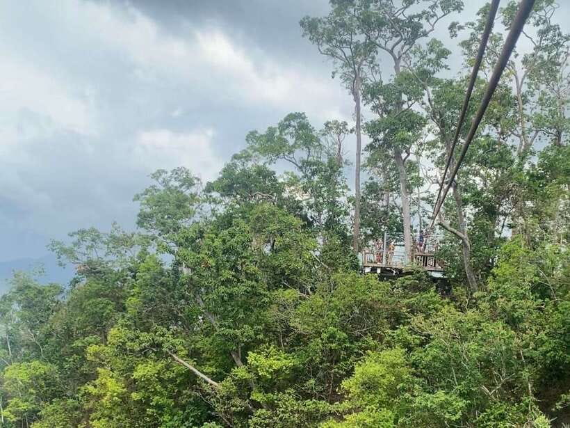 From Puerto Princesa: Underground River Full-Day Trip - Choosing the zipline or mangrove tour