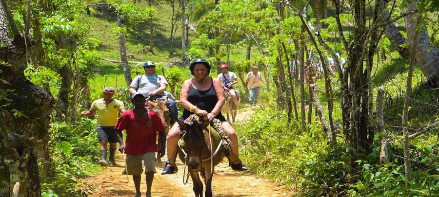 From Punta Cana: Samana Full Day Trip by Bus and Boat - Dominican lunch at Rancho Tipico