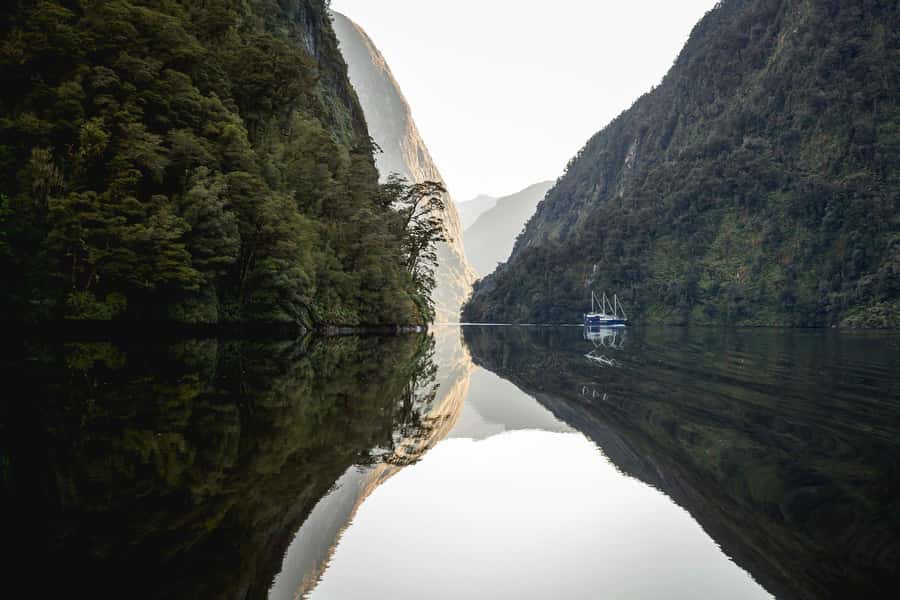 From Queenstown: Doubtful Sound Wilderness Day Trip - Who will enjoy this day trip most