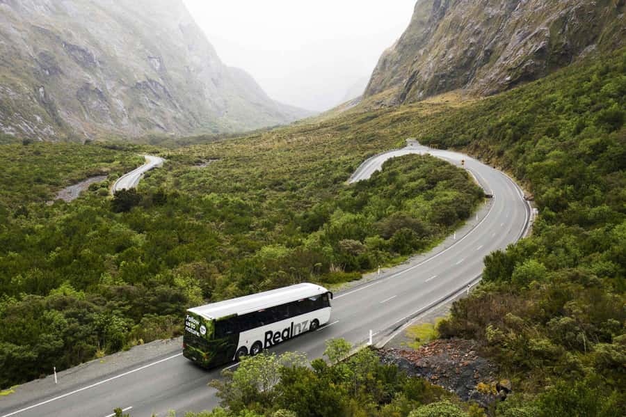 From Queenstown: Milford Sound Cruise and Coach Day Trip - Te Anau and the Milford Road