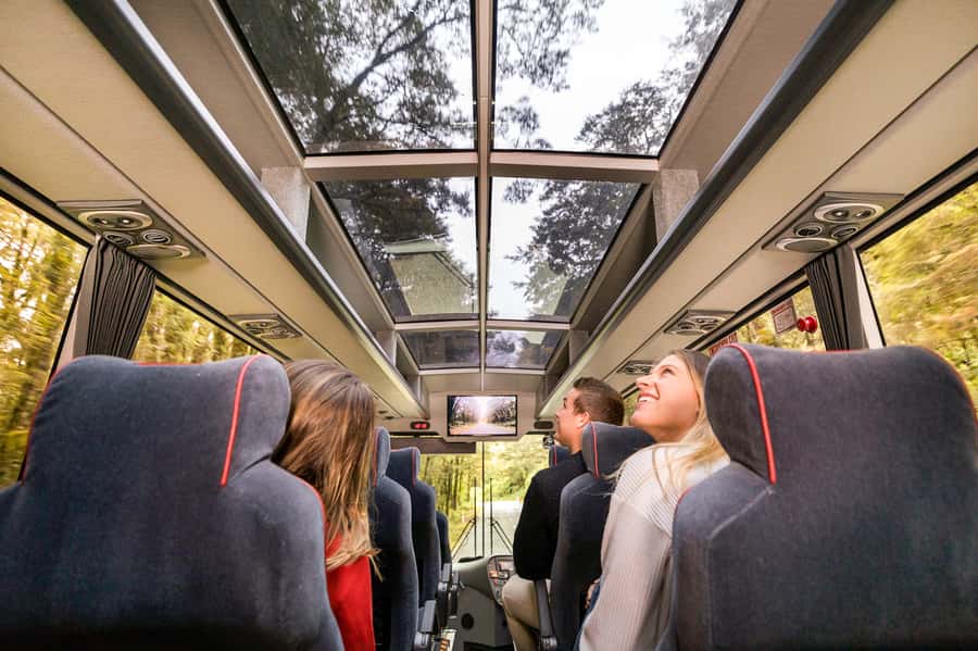 From Queenstown: Milford Sound Day Trip on Premium Coach - Te Anau: the practical halfway pause