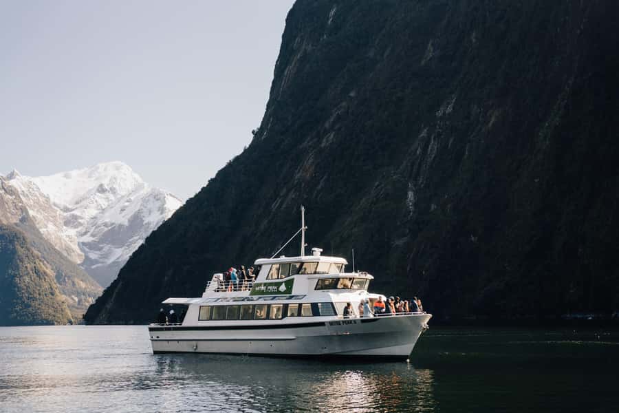 From Queenstown: Milford Sound Full-Day Trip by Plane & Boat - The return flight over Fiordland