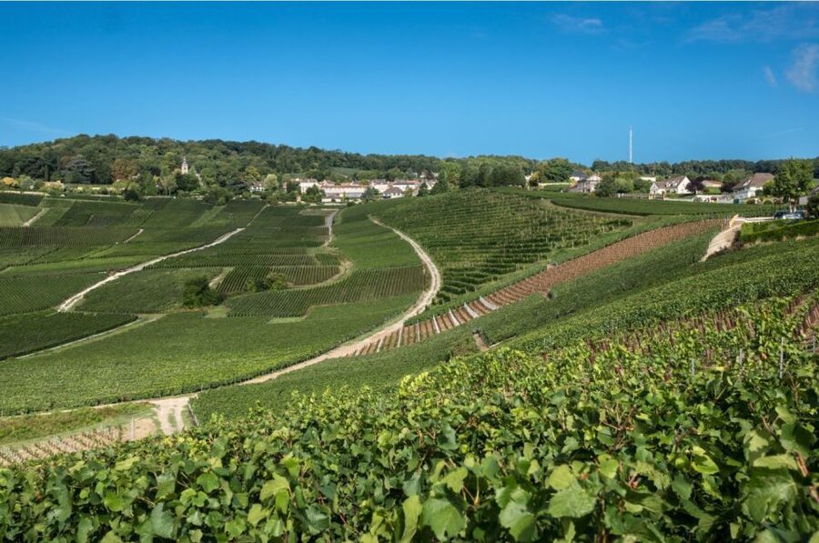 From Reims: Champagne Day Trip to 3 Family Domains & Lunch - Timing, transport, and practical limits
