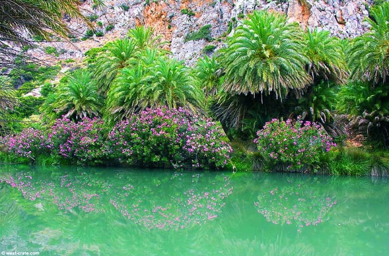 From Rethymno/Chania: Day Trip to Preveli Palm Beach - Who should book this Crete day trip?