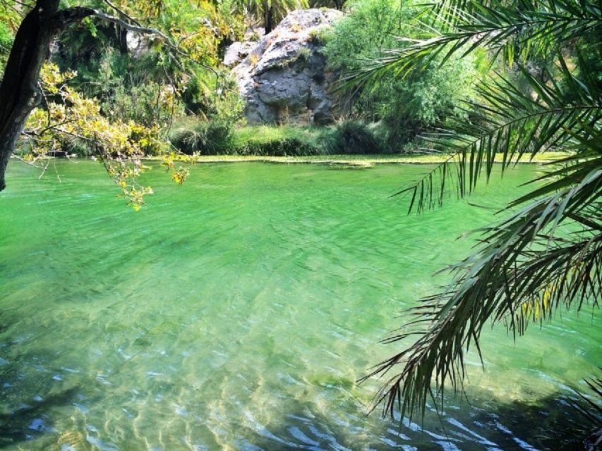 From Rethymno: Preveli Palm Beach and Kourtaliotiko Day Trip - Food, shopping, and the extra coastal stop