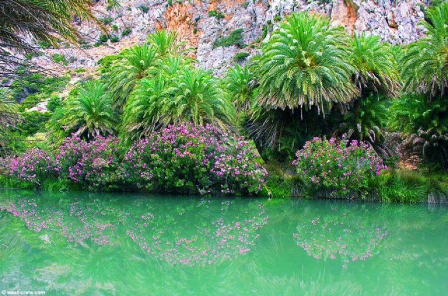 From Rethymno: Preveli Palm Beach and Kourtaliotiko Day Trip - Who will enjoy this day trip most