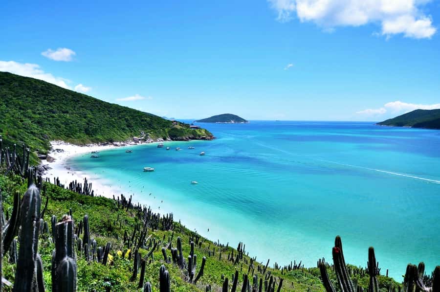From Rio: Arraial do Cabo - The Brazilian Caribbean Daytrip - Key points to know before you book
