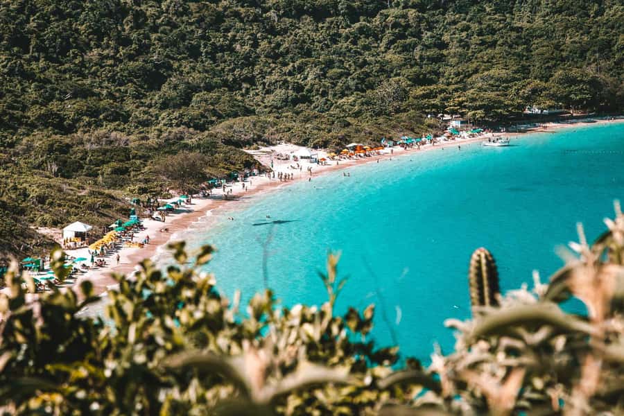 From Rio de Janeiro: Arraial do Cabo Island Day Trip - The return to Rio and the real cost in time