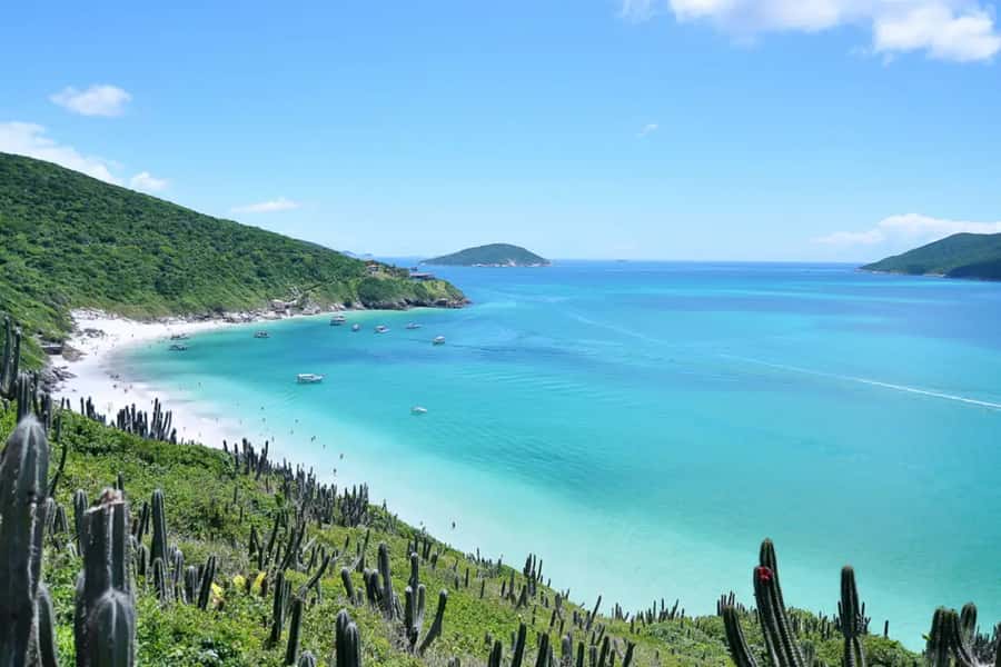 From Rio de Janeiro: Arraial do Cabo Island Day Trip - Praia do Forno, the first taste of clear water