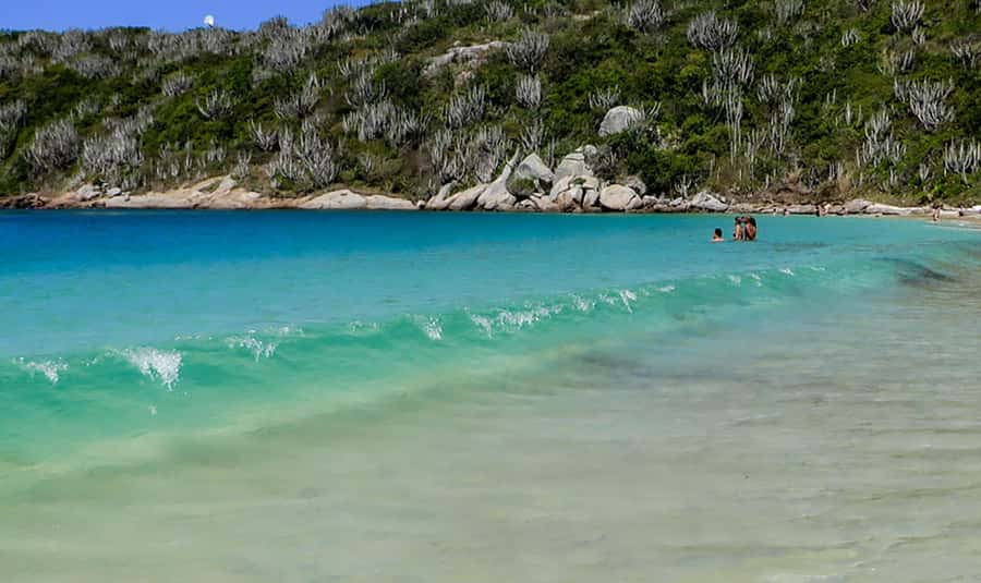 From Rio de Janeiro: Arraial do Cabo Island Day Trip - Ilha do Farol and the boat route