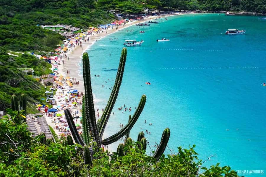 From Rio de Janeiro: Arraial do Cabo Island Day Trip - Guides, languages, and group care