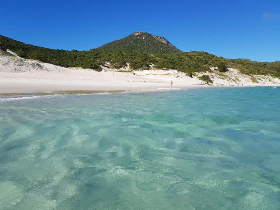 From Rio de Janeiro: Arraial do Cabo Island Day Trip - Starting in Leblon, Ipanema, or Copacabana