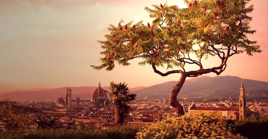 From Rome: Day Trip to Florence by High-Speed Train - Seven hours to shape your own Florence day