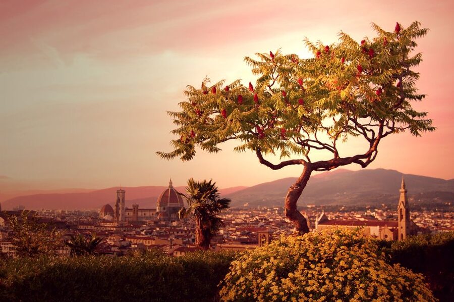 From Rome: Day Trip to Florence by High-Speed Train - The 100-minute train ride to Florence