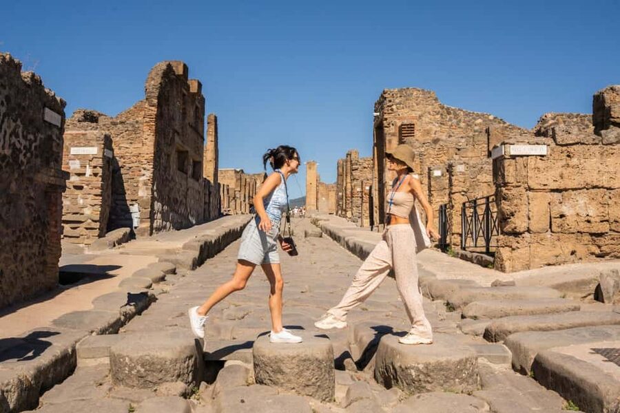 From Rome: Luxury Van Day Trip to Pompeii & Sorrento Lunch - Key points to know before booking