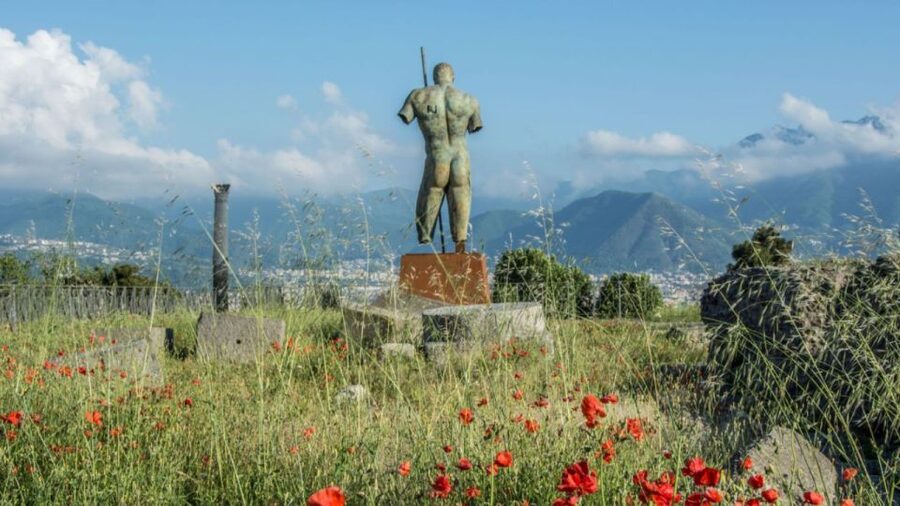 From Rome: Pompeii and Naples Day Trip by High-Speed Train - Walking demands, weather, and what to carry