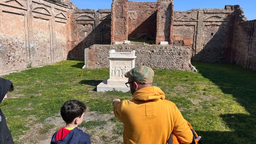 From Rome: Pompeii and Naples Day Trip by High-Speed Train - What the $259 price really covers