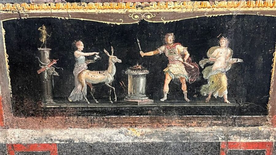 From Rome: Pompeii and Naples Day Trip by High-Speed Train - Should you book it?