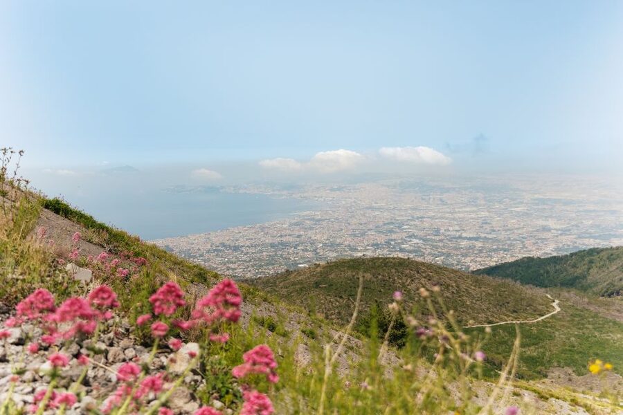 From Rome: Pompeii Day Trip with Optional Vesuvius and Lunch - How the schedule feels in real life