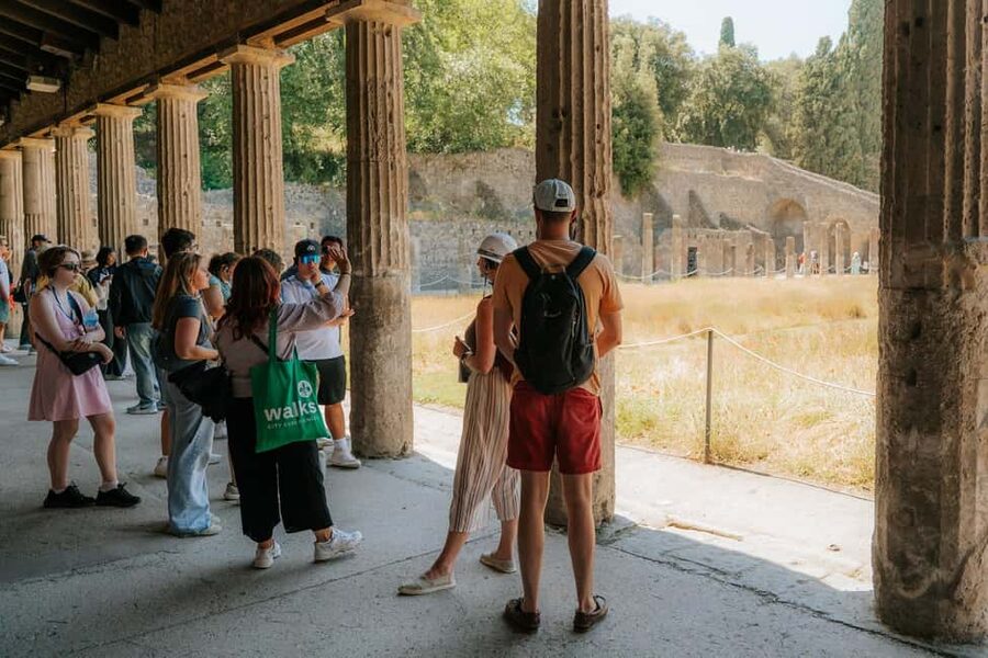 From Rome: Pompeii with Expert Guide & Amalfi Coast Day Trip - Who will enjoy this day trip most?