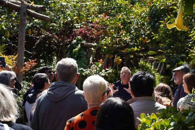 From Rome: Sorrento & Pompeii Day Trip with Guide or Ticket - Key points to know before booking