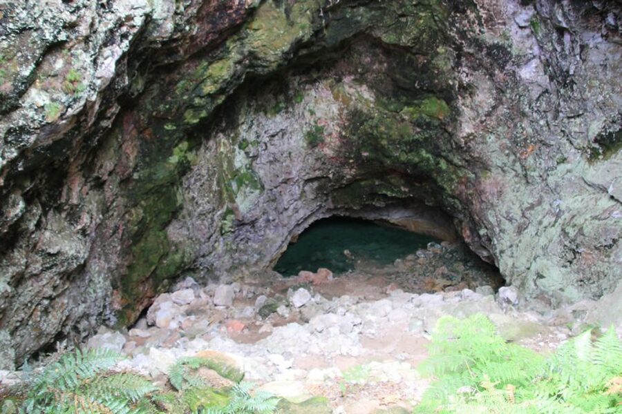 From Rotorua: Taupo Day Trip with Orakei Korako or Waiotapu - Waiotapu: colorful pools and Lady Knox Geyser