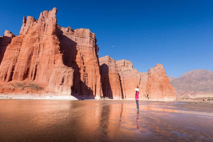 From Salta: Cafayate Day Trip with Wine Tasting - The Quebrada de las Conchas and its red-rock formations