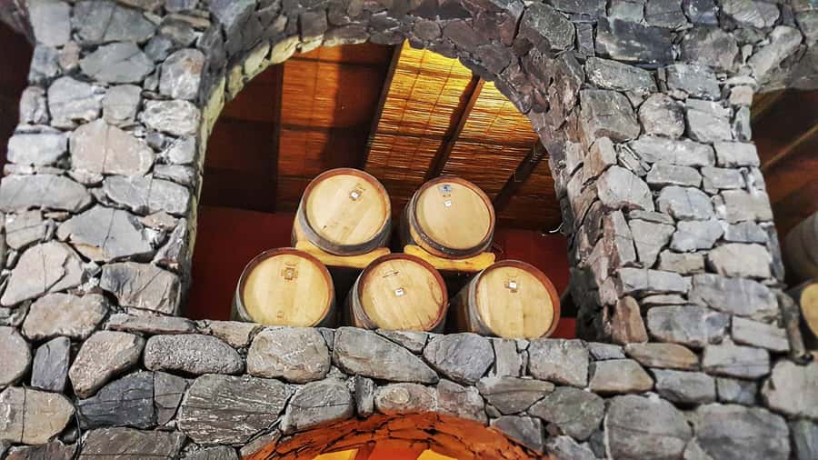 From Salta: Cafayate Day Trip with Wine Tasting - Who should book this day trip?