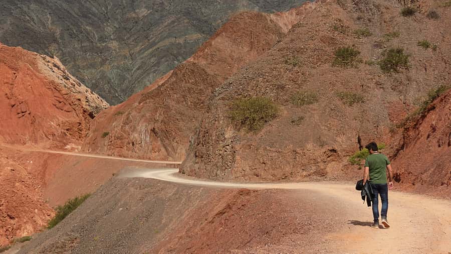 From Salta: Full-Day Trip to Salinas Grandes and Purmamarca - Climbing the Cuesta de Lipan to high altitude