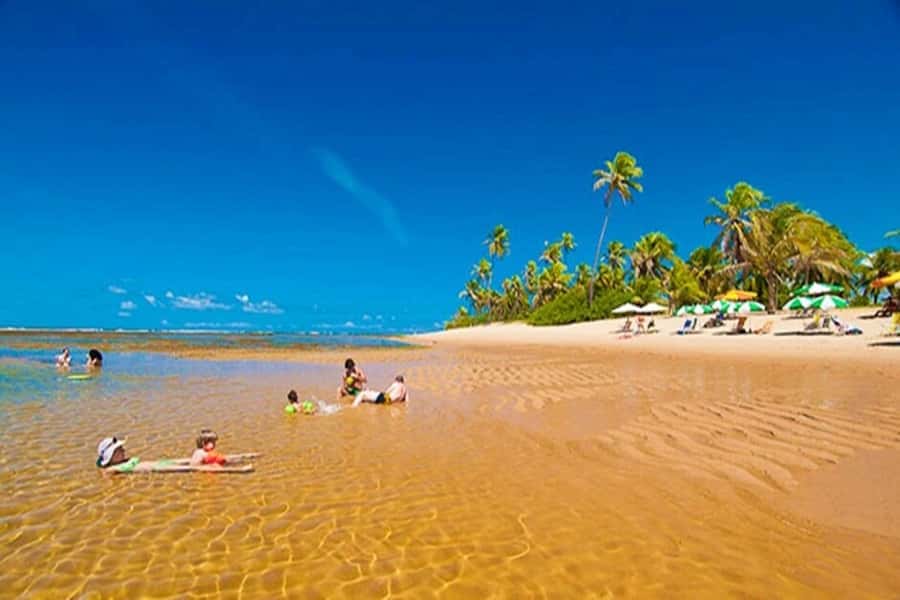 From Salvador: Praia do Forte & Guarajuba Beach Daytrip - Key points to know before booking