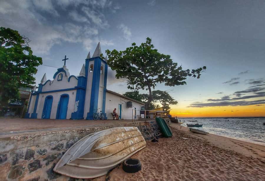 From Salvador: Praia do Forte & Guarajuba Beach Daytrip - Who will enjoy this day most