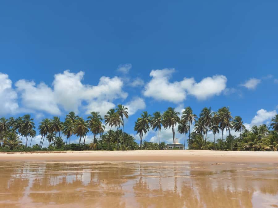 From Salvador: Praia do Forte & Guarajuba Beach Daytrip - What to bring for a beach day